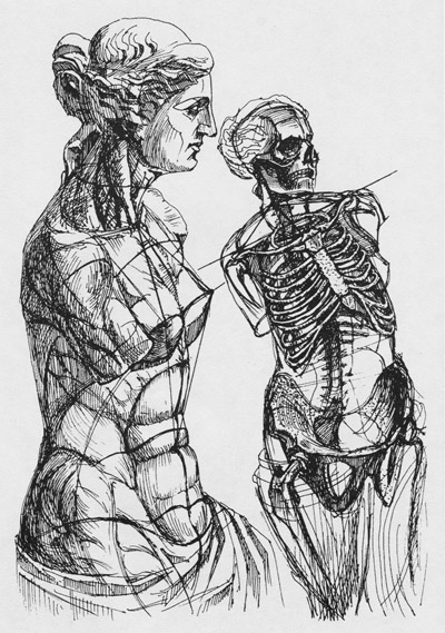 рисунок фигуры женской афродита милосская