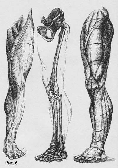 рисунок гипсовых слепков ног человека